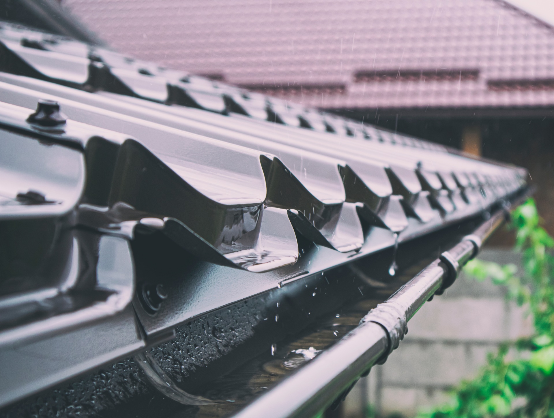 AdobeStock_446254868